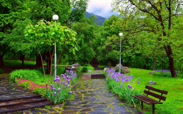 Картинка природа парк фонари аллея ирисы скамейка
