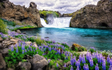 Картинка природа водопады водопад камни люпин