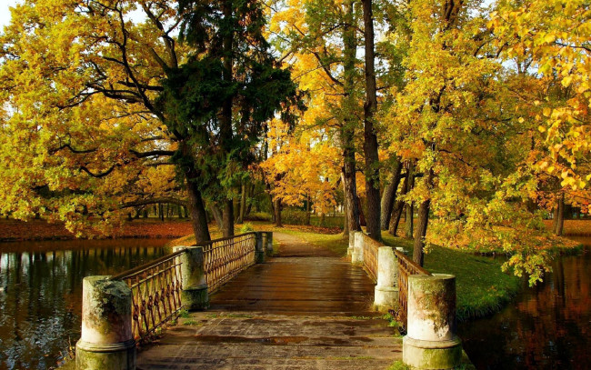 Обои картинки фото природа, парк, река, мост, осень