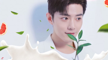обоя мужчины, xiao zhan, актер, листья, ветка, грейпфрут