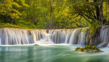 Картинка природа водопады зелень лес лето ветви листва камень водопад водоем