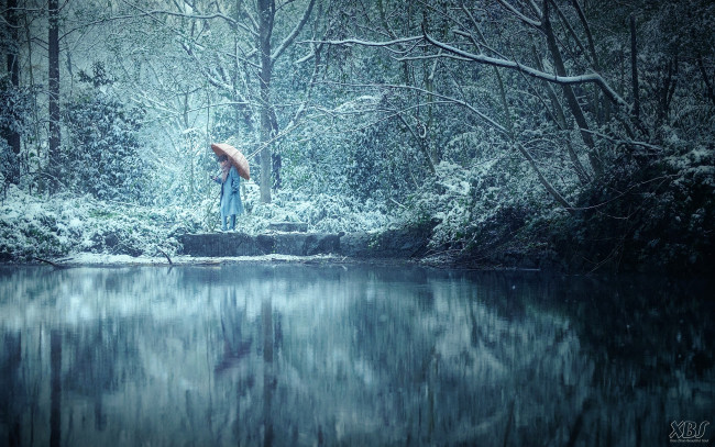 Обои картинки фото мужчины, xiao zhan, актер, зонт, плащ, лес, снег, озеро
