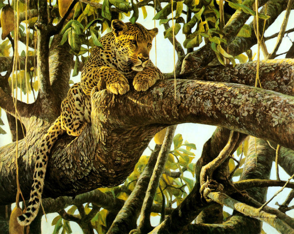 Обои картинки фото рисованное, животные,  ягуары,  леопарды, леопард, ветки, джунгли, деревья
