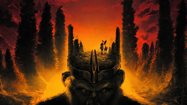 Обои картинки фото кино фильмы, kingdom of the planet of the apes, kingdom, of, the, planet, apes