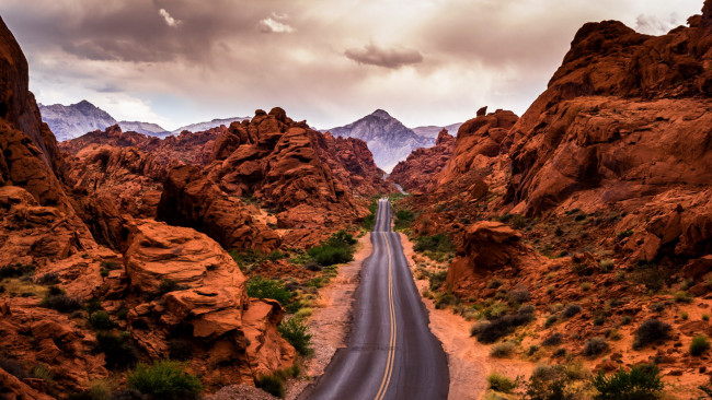 Обои картинки фото road through the valley of fire, nevada, природа, дороги, road, through, the, valley, of, fire