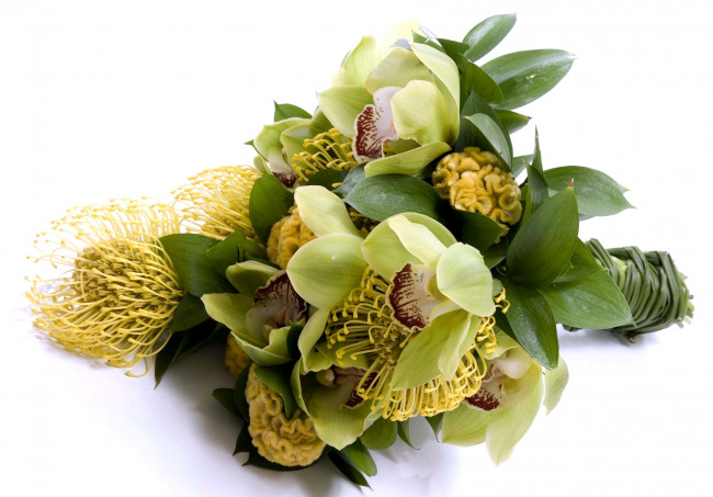 Обои картинки фото цветы, букеты, композиции, зеленый, орхидеи, желтый