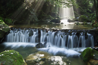 Картинка природа водопады камни лес река