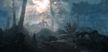 Картинка tomb raider lara croft reborn видео игры 2013 лес