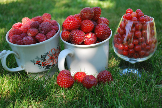 Обои картинки фото еда, фрукты, ягоды, трава, кружки, красная, смородина, клубника, малина