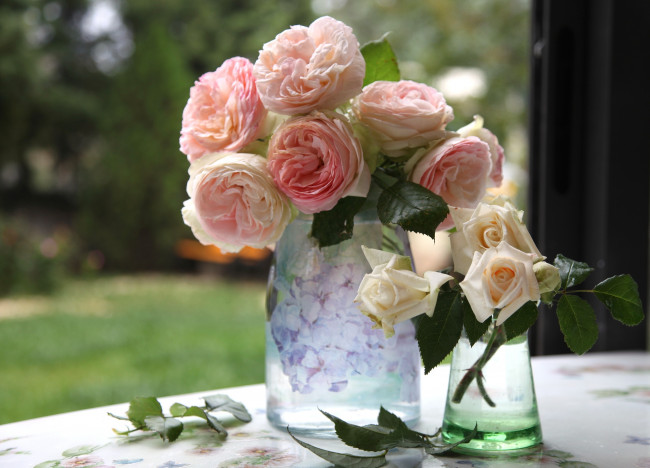 Обои картинки фото цветы, розы, ваза, розовый, лепестки