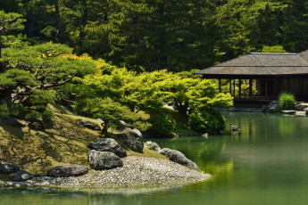 Картинка природа парк Япония