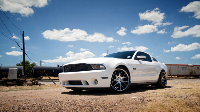 Обои картинки фото mustang, автомобили, сша, ford, motor, company