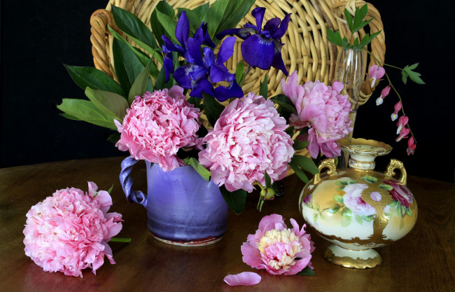 Обои картинки фото цветы, разные, вместе, пионы, ирисы, дицентра, ваза