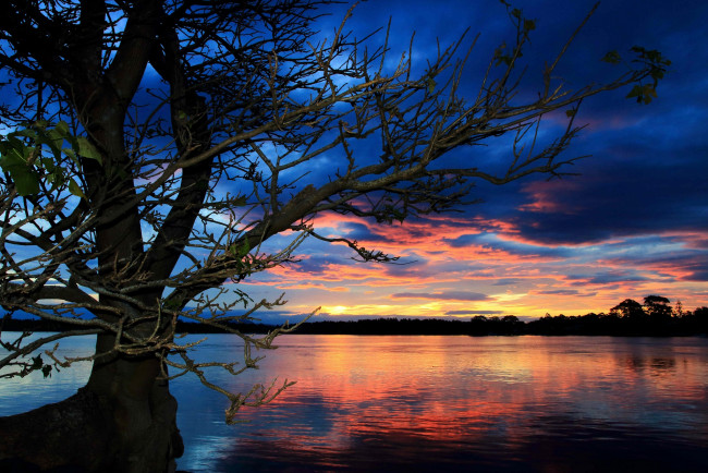 Обои картинки фото природа, восходы, закаты, дерево, ночь, вода, отражение