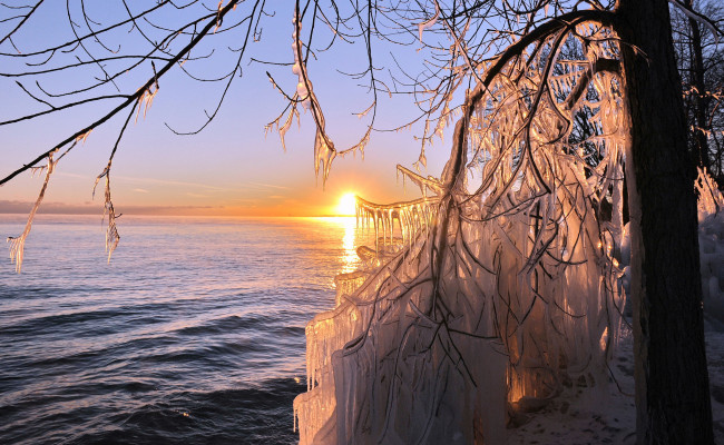 Обои картинки фото природа, восходы, закаты, солнце, море, сосульки, лед, дерево