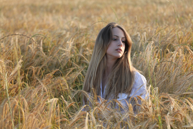 Обои картинки фото девушки, -unsort , блондинки, поле, рожь, лицо