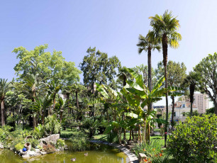 Картинка природа парк пальмы дома здания озеро деревья