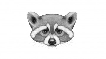 Картинка рисованное минимализм панда