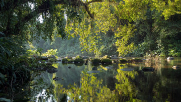 Картинка природа реки озера деревья река камни отражение
