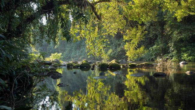 Обои картинки фото природа, реки, озера, деревья, река, камни, отражение