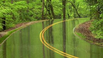 Картинка природа дороги дорога дождь