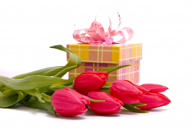 Обои картинки фото цветы, тюльпаны, подарок, коробка
