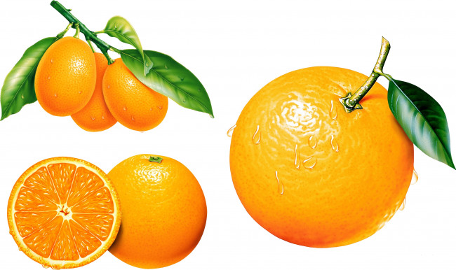 Обои картинки фото векторная графика, еда, апельсин, фон