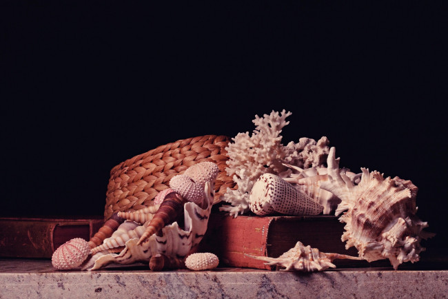 Обои картинки фото разное, ракушки,  кораллы,  декоративные и spa-камни, кораллы, шляпа, книги