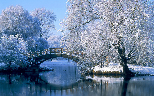 Обои картинки фото природа, парк, мост, снег, деревья, озеро, зима
