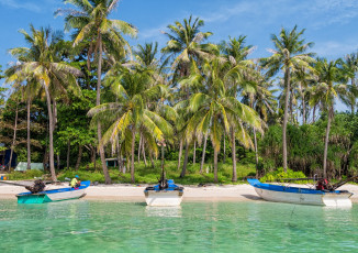 Картинка вьетнам природа тропики водоем катер пальмы