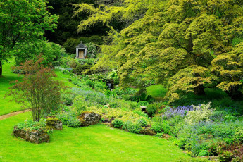Картинка англия разное садовые+и+парковые+скульптуры камни цветы трава деревья
