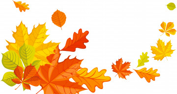 Картинка векторная+графика природа+ nature осень листья фон