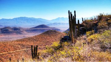 Картинка природа пейзажи горы пустыня кактусы дорога