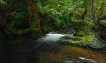Картинка природа реки озера камни поток лес