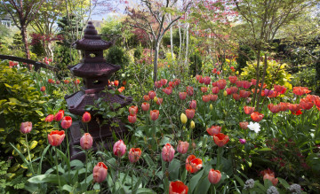 Картинка англия разное садовые+и+парковые+скульптуры деревья тюльпаны