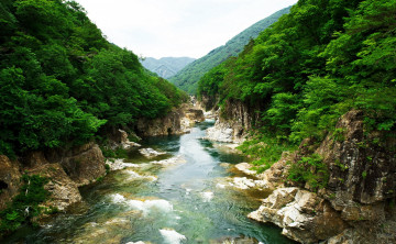 Картинка Япония природа реки озера деревья холмы камни