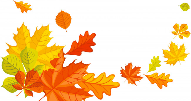 Обои картинки фото векторная графика, природа , nature, осень, листья, фон
