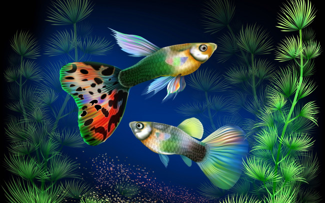 Обои картинки фото рисованное, животные,  рыбы, растения, рыбы, аквариум