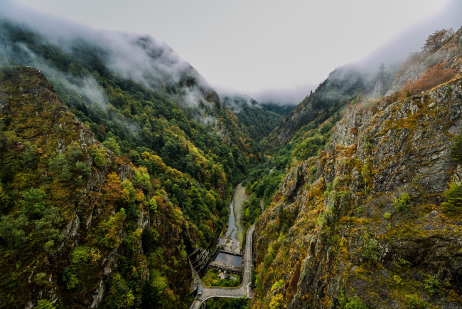 Обои картинки фото румыния, природа, горы, деревья, туман