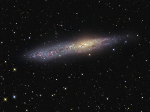 Картинка ngc 55 космос галактики туманности