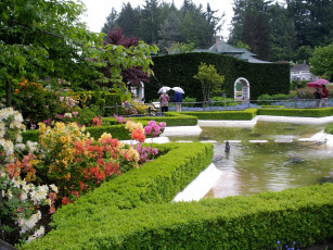 Картинка butchart gardens victoria canada природа парк