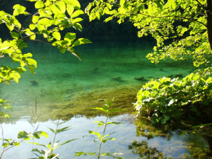 Картинка природа реки озера отмель река