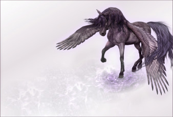 Картинка фэнтези пегасы крылья конь пегас