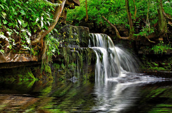 Картинка природа водопады водопад камни зелень
