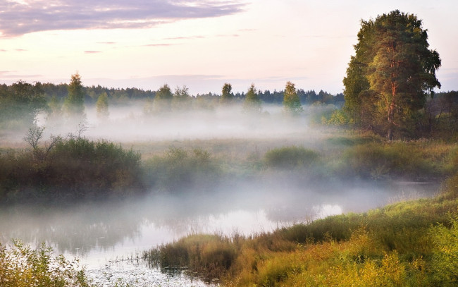 Обои картинки фото природа, реки, озера, трава, облака, утро, дерево, туман, река