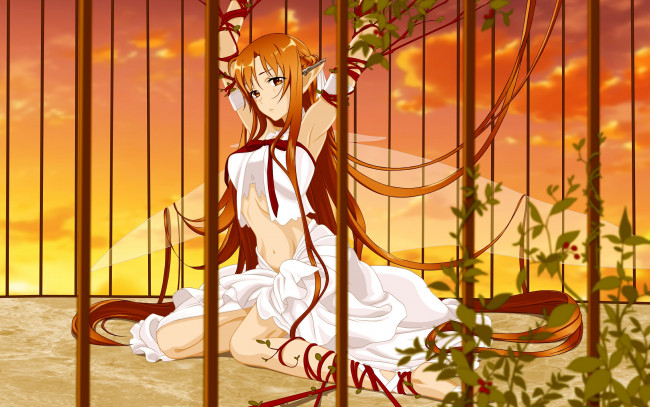 Обои картинки фото аниме, sword, art, online, asuna, yuki, длинные, волосы, веревка, клетка