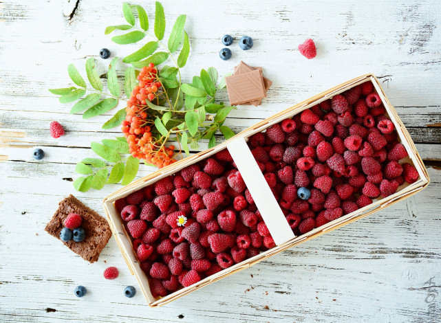Обои картинки фото еда, фрукты,  ягоды, рябина, голубика, малина