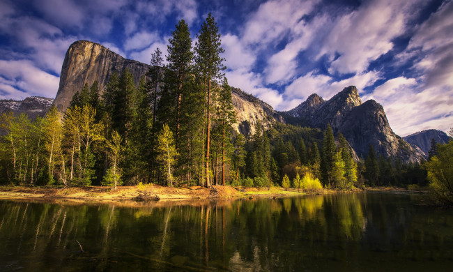 Обои картинки фото природа, горы, утро, река, yosemite, national, park, california, калифорния, йосемити, деревья