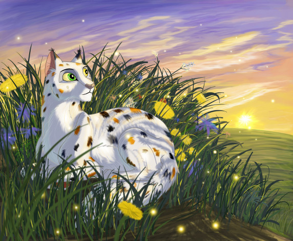 Обои картинки фото рисованное, животные,  коты, закат, цветы, трава, кот
