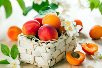 обоя еда, персики,  сливы,  абрикосы, корзинка, жасмин